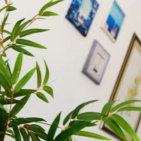 Robinzon Zavala Vikendica Povlja (Brac)